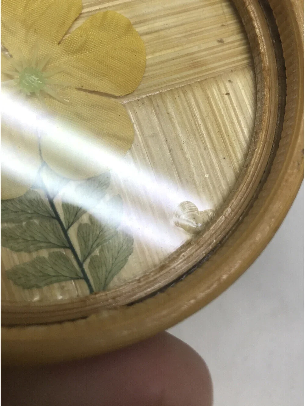 Vtg Bamboo Flowers Tray And Coasters 7 Pc Set Floral Tiki Bar Serving Platter